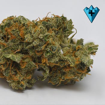 Tangie Power